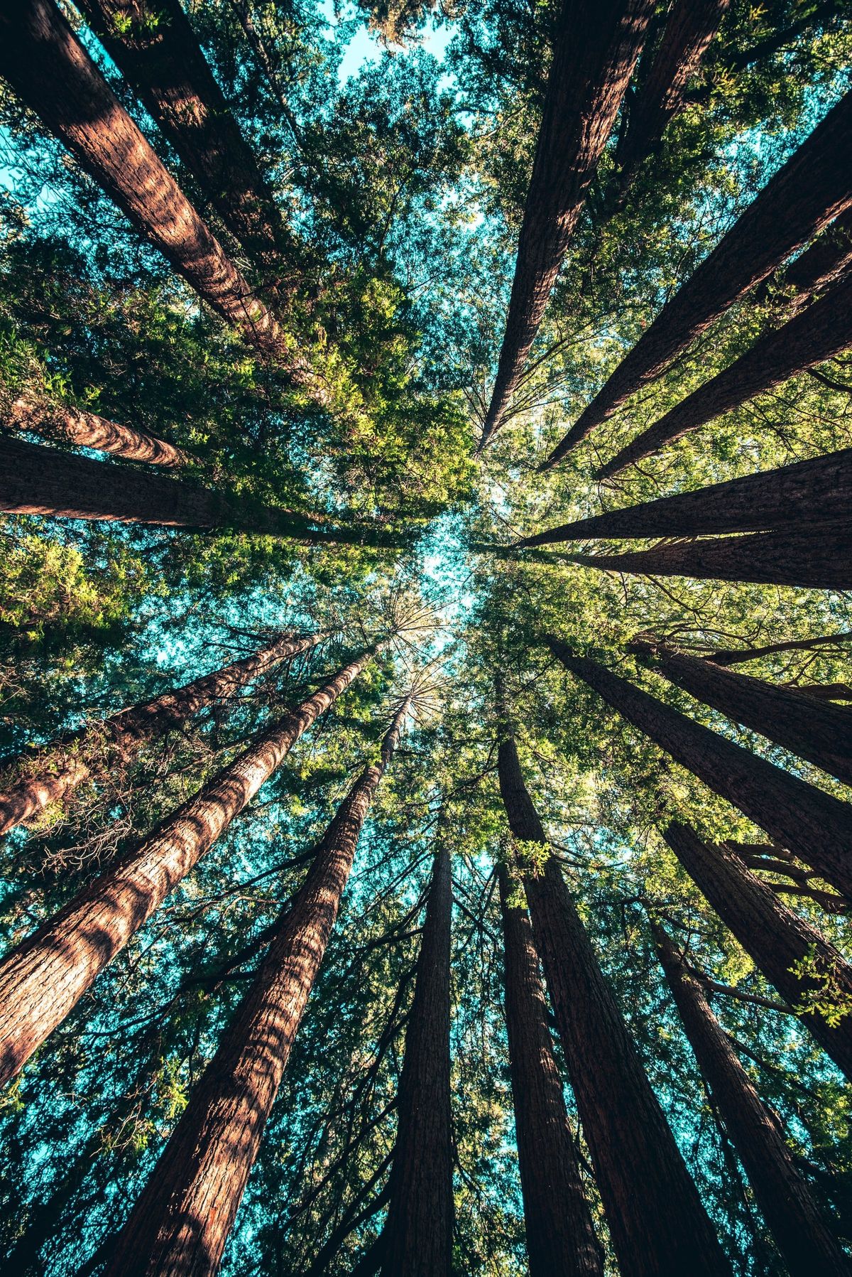Climate Policy Debates in Washington