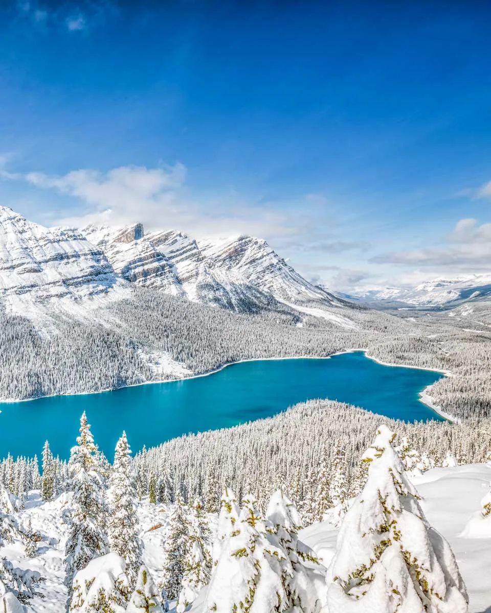 Travel Trends Americans Are Following This Winter